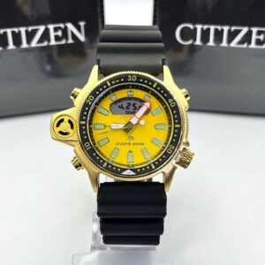 Citizen Aqualand - CTZ015212